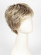 SS14/88 GOLDEN WHEAT  | Medium Blonde Streaked With Pale Gold Highlights and Medium Brown Roots