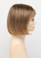 24/18 FROSTED | Light Brown with Wheat Blonde blended highlights