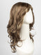 R8/26H | Golden Brown with Golden Blonde Highlights