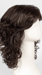 R4/6 | Dark Brown Blended With Chestnut Brown