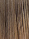 BUTTERED TOAST | Medium Gold Brown and Strawberry Blonde Blend with Strawberry Blonde Tips