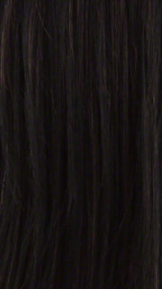FS1B/30 | 80% Off Black with 20% Copper Blonde Frost