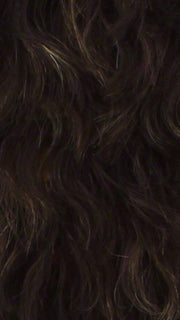 FS4/27 | 80% Medium Dark Brown with 20% Honey Blonde Frost