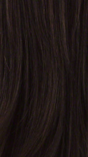FS4/30 | 80% Medium Dark Brown with 20% Copper Blonde Frost