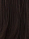 FS4/30 | 80% Medium Dark Brown with 20% Copper Blonde Frost