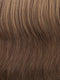 G27+ GINGER MIST | Medium warm brown base w/ warm blonde highlights