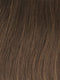 GL10-12 SUNLIT CHESTNUT | Rich Brown with Caramel Highlights