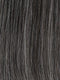 GL 44-51 SUGARED CHARCOAL | Darkest Brown with 50% Silver Grey