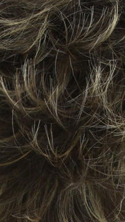 HARVEST-RICH Medium Brown with Honey Blonde Highlights