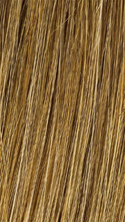 R1416T BUTTERED TOAST | Dark Ash Blonde with Golden Blonde Tips