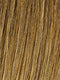 R1416T BUTTERED TOAST | Dark Ash Blonde with Golden Blonde Tips