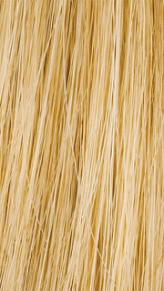 R25 GINGER BLONDE