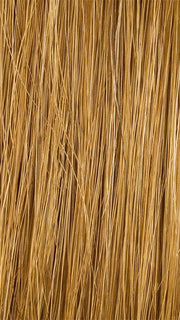 R6HH MEDIUM AUBURN