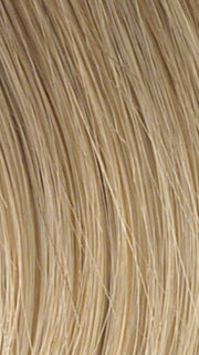 HT14/88H | Dark Blonde Evenly Blended with Pale Blonde Highlights