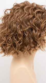 FROSTED | Light Brown with Wheat Blonde blended highlights