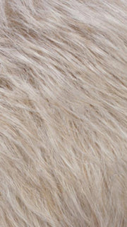 R101 | Platinum Blonde