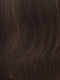 R10 CHESTNUT | Rich Medium Brown with subtle Golden Brown Highlights Throughout