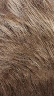 R12/26CH | Light Brown w/Chunky Golden Blonde Highlights