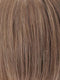R12/26H | Light Brown w/Golden Blonde Highlights on Top