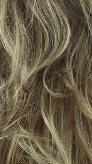 R14/26H | Dark Blonde w/Golden Blonde Highlights