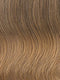 R1416T BUTTERED TOAST | Dark Ash Blonde with Golden Blonde Tips