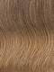 R1416T Buttered Toast | Dark Ash Blonde with Golden Blonde Tips