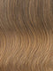 R1416T BUTTERED TOAST | Dark Ash Blonde with Golden Blonde Tips
