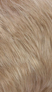 R16/22 | Honey Blonde/Light Ash Blonde Blend