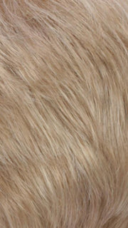 R16/22 | Honey Blonde/Light Ash Blonde Blend