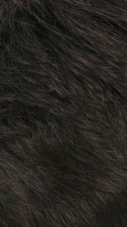 R2/4 | Darkest Brown Blended With Dark Brown