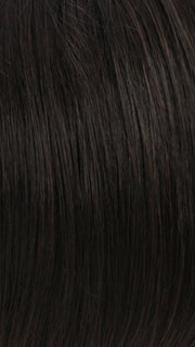 R2/4 | Darkest Brown Blended With Dark Brown
