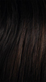 2/6 | darkest brown with warm medium brown highlights
