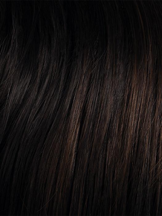 2/6 | darkest brown with warm medium brown highlights