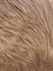 R24/18BT | Golden Blonde Blended & Tipped w/Ash Blonde
