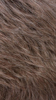 R38 | Medium Brown w/25% Grey