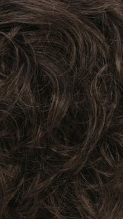 R4/6 | Dark Brown Blended With Chestnut Brown