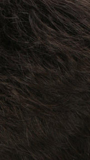 R4/6 | Dark Brown Blended With Chestnut Brown