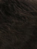 R4/6 | Dark Brown Blended With Chestnut Brown