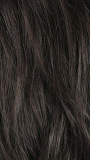 R4/6 | Dark Brown Blended With Chestnut Brown
