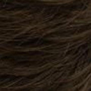 R4/6 | Dark Brown Blended With Chestnut Brown