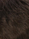 R6/10 | Chestnut Brown Blended With Medium Ash Brown