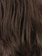 R6/10 | Chestnut Brown Blended With Medium Ash Brown