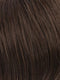 R6/10 | Chestnut Brown Blended With Medium Ash Brown