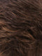 R6/28F | Chestnut Brown w/Red Frost