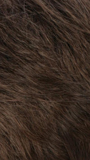 R8/12 | Golden Brown Blended With Light Brown