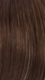 R8/26H | Golden Brown w/Golden Blonde Highlights