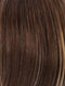 R8/26H | Golden Brown w/Golden Blonde Highlights