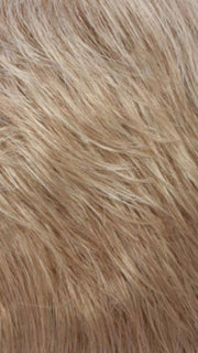 RH1488 | Dark Blonde w/Lightest Blonde Highlights