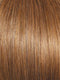 R1416T BUTTERED TOAST | Dark Ash Blonde with Golden Blonde Tips