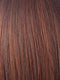 CHESTNUT | Dark and Bright Auburn Evenly Blended